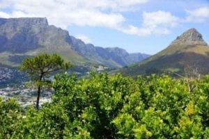 Landschaft beim Tafelberg, SA