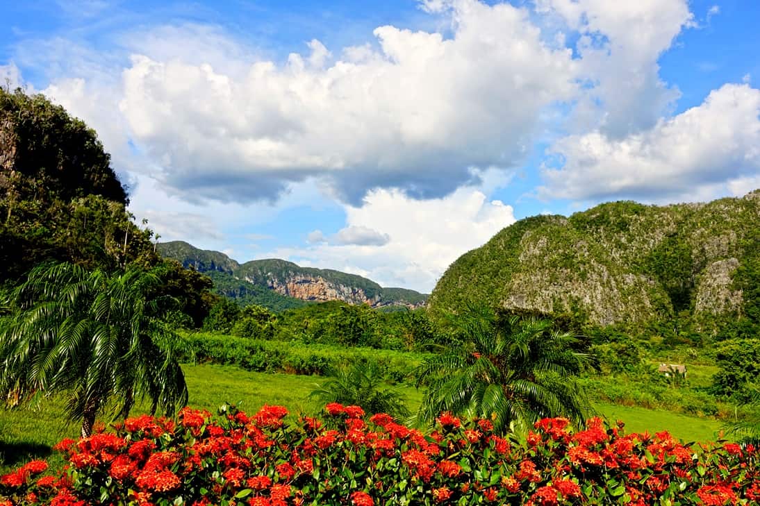 eine traumhafte und grüne Landschaft (das Mogote Tal