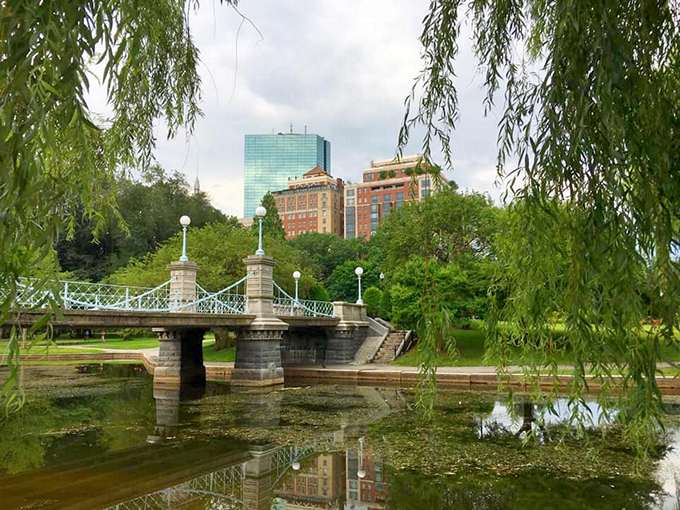 Public Garden in Boston