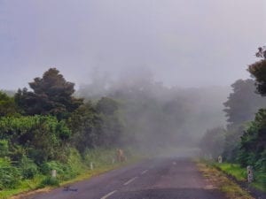 Nebel auf der TR 110 Madeira