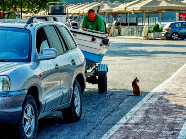 Katze und Fischerboot