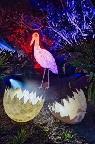 Vogel mit Eierschalen,Naturaleza encendida, Palmetum Teneriffa