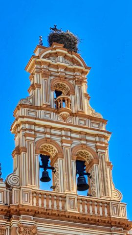 Storchennester auf den Türmen der Kathedrale von Huelva
