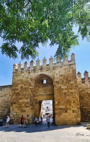 Tor Puerta de Almodóvar