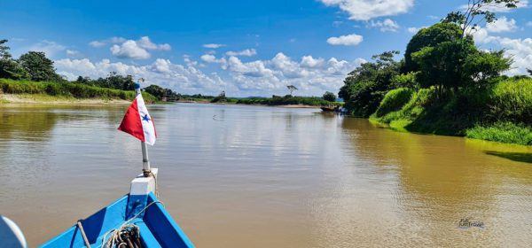 Einfahrt in einen Seitenarm, der Rio Ituqui des Amazonas