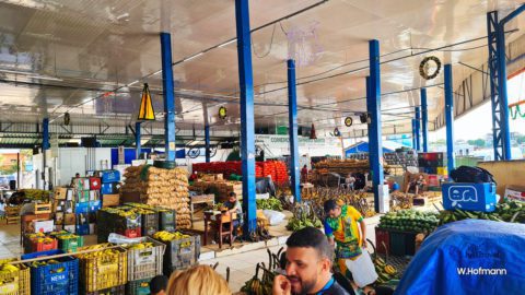 Die Markthalle für die Bananen, Manaus