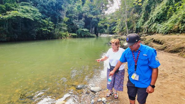 Am Fluss im El Yunque Nationalforst