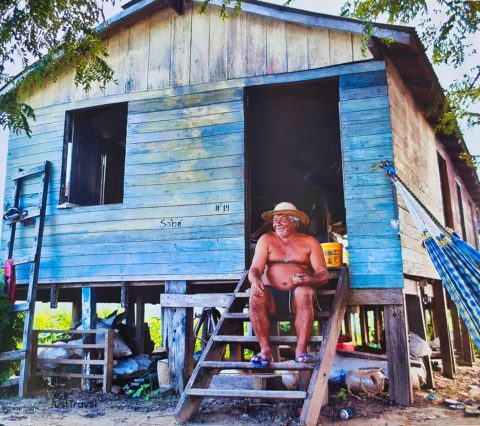 Lebensbedingungen im Amazonasas