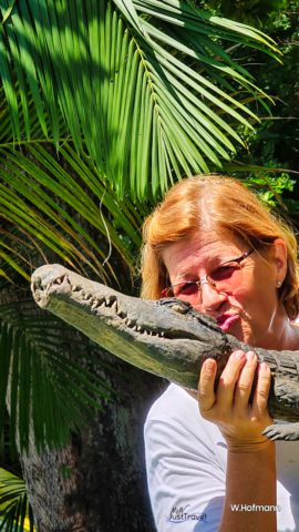 Jetzt hat sie das Krokodil gefangen, Amazonas