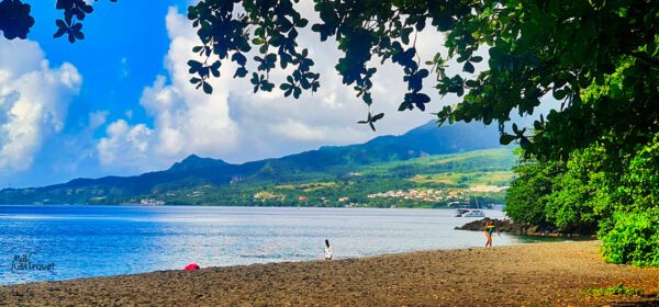 Plage des raisiniers