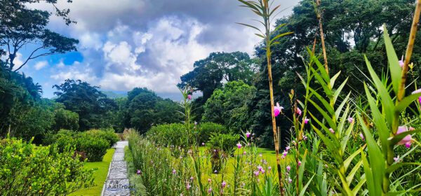 Le Domaine De L'Émeraude Park