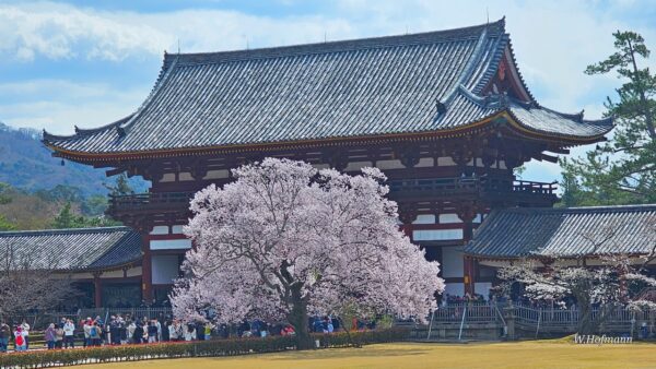 Der Tempel in Nara