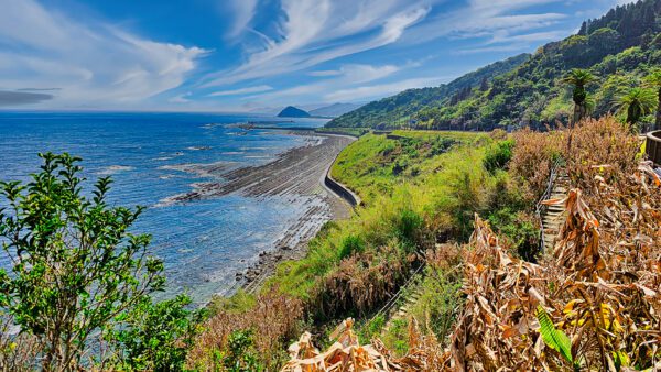 Der Nichinan Coast Road Park