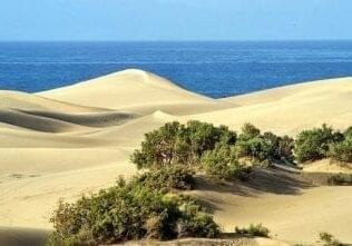 Die Dünen von Maspalomas