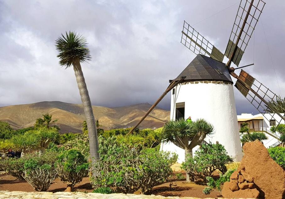 Käsemuseum Fuerteventura