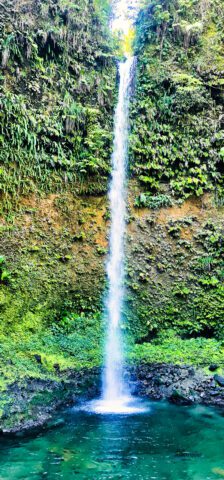 Spanny Falls Dominica